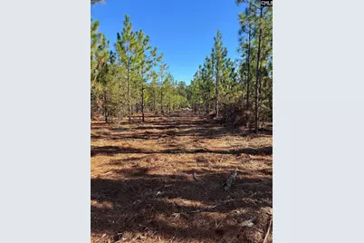 Ppf 12 Payne Pond Road #PPF 12, Westville, SC 29175 - Photo 49