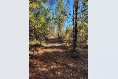 Ppf 12 Payne Pond Road #PPF 12, Westville, SC 29175 - Photo 21