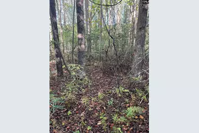 Ppf 12 Payne Pond Road #PPF 12, Westville, SC 29175 - Photo 15