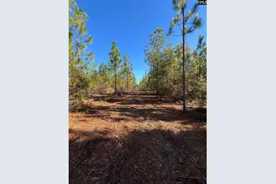 Ppf 12 Payne Pond Road #PPF 12, Westville, SC 29175 - Photo 45