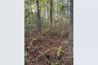 Ppf 12 Payne Pond Road #PPF 12, Westville, SC 29175 - Photo 13