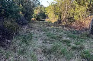 Ppf 12 Payne Pond Rd, Westville, SC 29175 - Photo 1