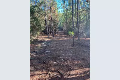 Ppf 12 Payne Pond Road #PPF 12, Westville, SC 29175 - Photo 7