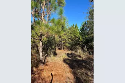 Ppf 12 Payne Pond Road #PPF 12, Westville, SC 29175 - Photo 39