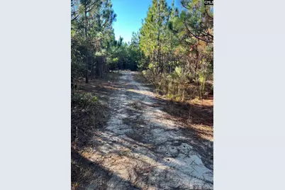 Ppf 12 Payne Pond Road #PPF 12, Westville, SC 29175 - Photo 5