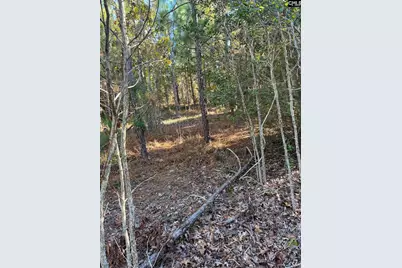 Ppf 12 Payne Pond Road #PPF 12, Westville, SC 29175 - Photo 25