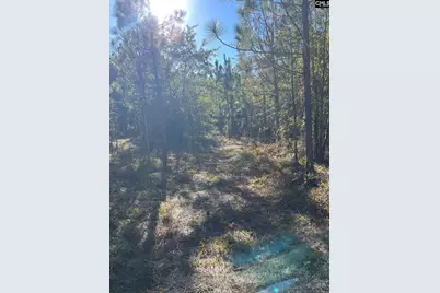 Ppf 12 Payne Pond Road #PPF 12, Westville, SC 29175 - Photo 31