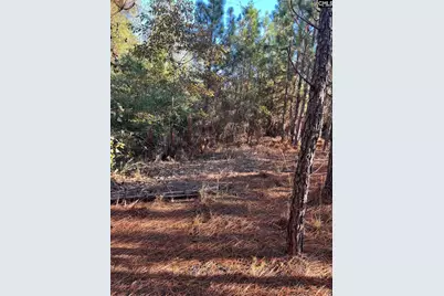 Ppf 12 Payne Pond Road #PPF 12, Westville, SC 29175 - Photo 19