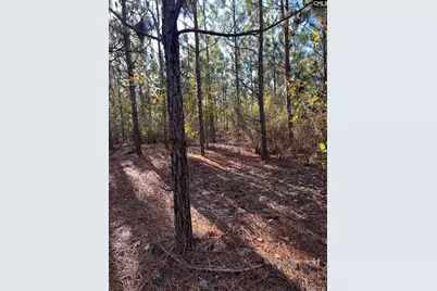 Ppf 12 Payne Pond Road #PPF 12, Westville, SC 29175 - Photo 17