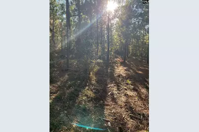 Ppf 12 Payne Pond Road #PPF 12, Westville, SC 29175 - Photo 23