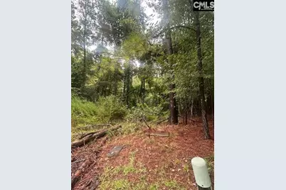 308 Bryars Court #39, Lexington, SC 29072 - Photo 1