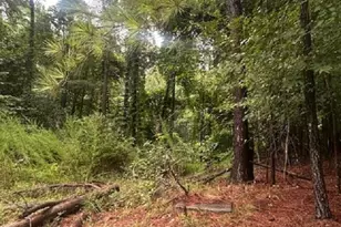 308 Bryars Ct, Lexington, SC 29072 - Photo 1