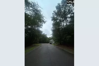 308 Bryars Court #39, Lexington, SC 29072 - Photo 3