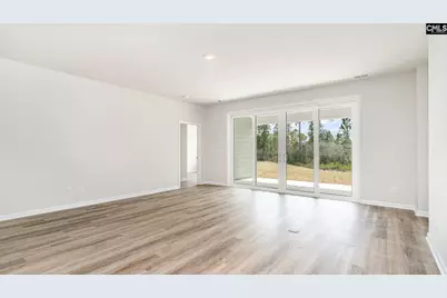 237 Livingston Woods Drive, Irmo, SC 29063 - Photo 11