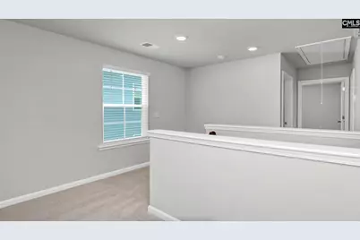 214 Livingston Woods Drive, Irmo, SC 29063 - Photo 17