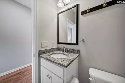 419 Saylor Hall Lane, Chapin, SC 29036 - Photo 5