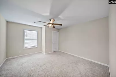 419 Saylor Hall Lane, Chapin, SC 29036 - Photo 21