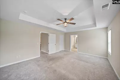 419 Saylor Hall Lane, Chapin, SC 29036 - Photo 15