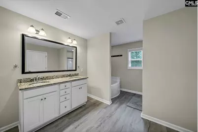419 Saylor Hall Lane, Chapin, SC 29036 - Photo 17