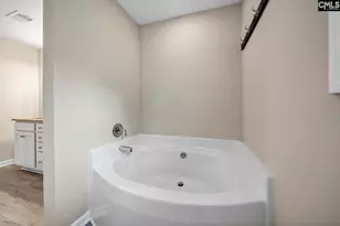 419 Saylor Hall Ln, Chapin, SC 29036 - Photo 19