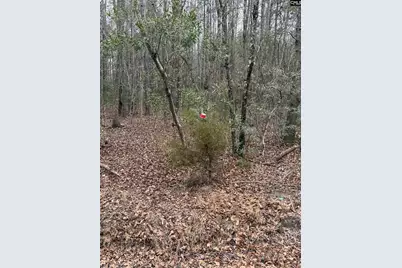 1644 Pincushion Road, Columbia, SC 29209 - Photo 3