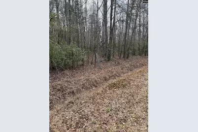 1644 Pincushion Road, Columbia, SC 29209 - Photo 1