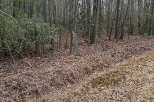 1644 Pincushion Rd, Columbia, SC 29209 - Photo 1