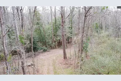 0 Tall Timber Drive, Leesville, SC 29070 - Photo 13