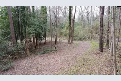 0 Tall Timber Drive, Leesville, SC 29070 - Photo 17