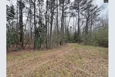 0 Tall Timber Drive, Leesville, SC 29070 - Photo 9