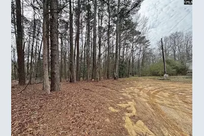 0 Tall Timber Drive, Leesville, SC 29070 - Photo 11