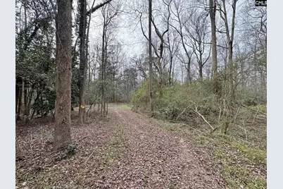 0 Tall Timber Drive, Leesville, SC 29070 - Photo 7