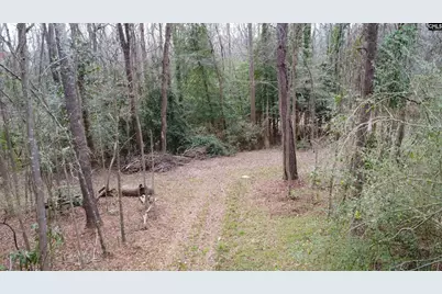 0 Tall Timber Drive, Leesville, SC 29070 - Photo 15