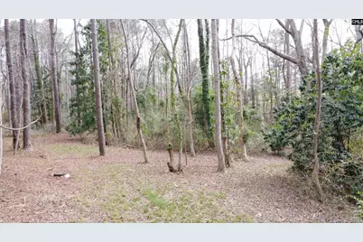 0 Tall Timber Drive, Leesville, SC 29070 - Photo 19