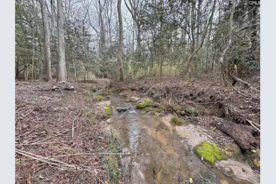 0 Tall Timber Drive, Leesville, SC 29070 - Photo 17