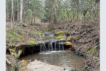 0 Tall Timber Drive, Leesville, SC 29070 - Photo 1