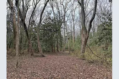 0 Tall Timber Drive, Leesville, SC 29070 - Photo 15