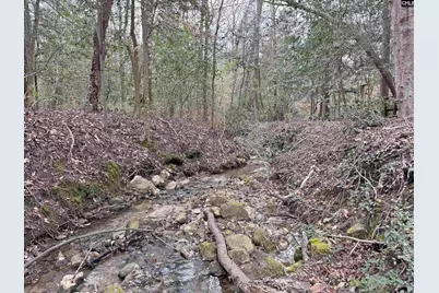 0 Tall Timber Drive, Leesville, SC 29070 - Photo 3