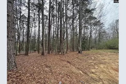 0 Tall Timber Drive, Leesville, SC 29070 - Photo 5