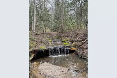 0 Tall Timber Drive, Leesville, SC 29070 - Photo 19