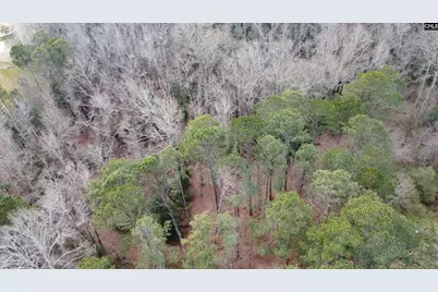0 Tall Timber Drive, Leesville, SC 29070 - Photo 23