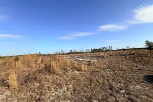 0 Festival Trail Rd, Salley, SC 29137 - Photo 1