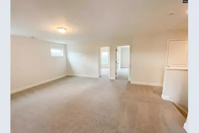 243 Meadow Saffron Drive, Lexington, SC 29073 - Photo 21