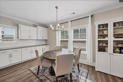 143 Collins Cove Drive, Chapin, SC 29036 - Photo 9