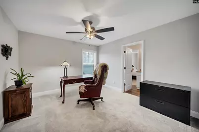 143 Collins Cove Drive, Chapin, SC 29036 - Photo 33