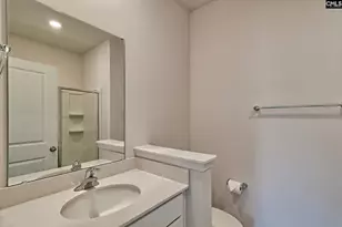 622 Autumn Shiloh Dr, Chapin, SC 29036 - Photo 9