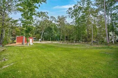 132 Pembroke Lane, Chapin, SC 29036 - Photo 47
