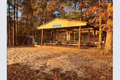 132 Pembroke Lane, Chapin, SC 29036 - Photo 3