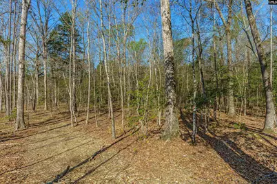 Parcel A Grover Wilson Road, Blythewood, SC 29016 - Photo 5