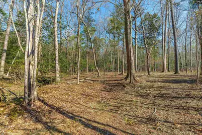 Parcel A Grover Wilson Road, Blythewood, SC 29016 - Photo 7